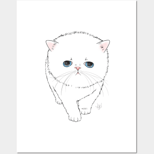 Persian Kitten Line Art Posters and Art